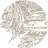 kimura