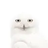 うどん
