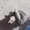 ajm