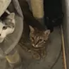 加藤 直幸