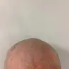 伊藤 陽