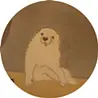 ゆちゃ