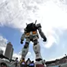 スルメ