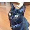 水嶋勇