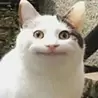 梁冰姬