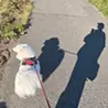 細川伽那子