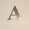 辻AA