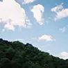 antowan