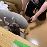 よの人