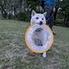 どぅん