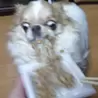 Kohta Tamura