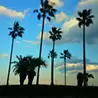 吉岡 拓哉