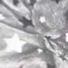 れれれ
