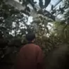 石川陽