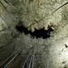 橋 ともこ