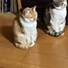 橋本　美智子