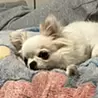 psytoh