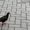 サオリ