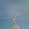 安東 賢一