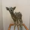 taro