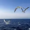 山﨑 邦雄