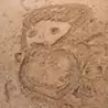 taro