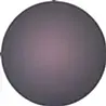 Ichikawa 