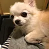 YUTA