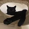 ひのえ