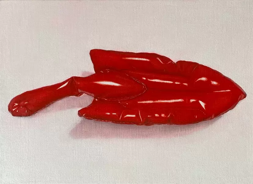 scoop by 田代 舞