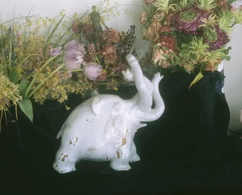 梅ヶ丘墓情 #01 by Nobuyoshi Araki
