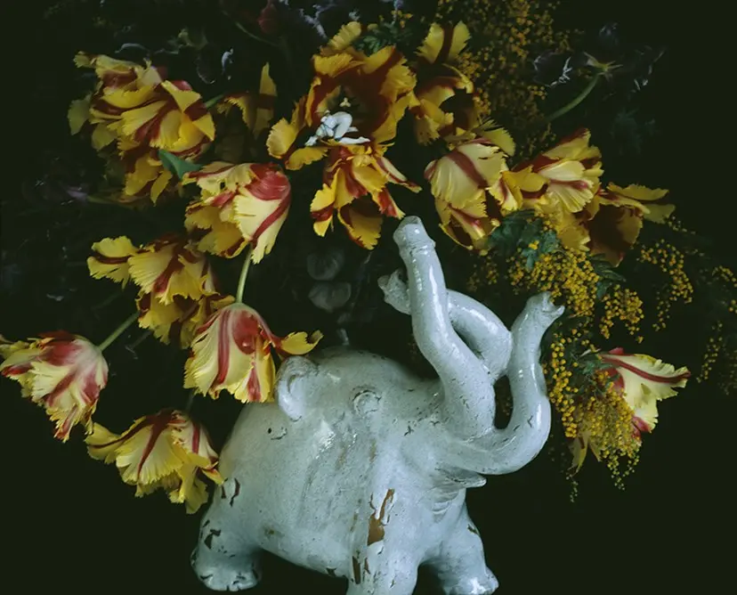 梅ヶ丘墓情 #02 by Nobuyoshi Araki