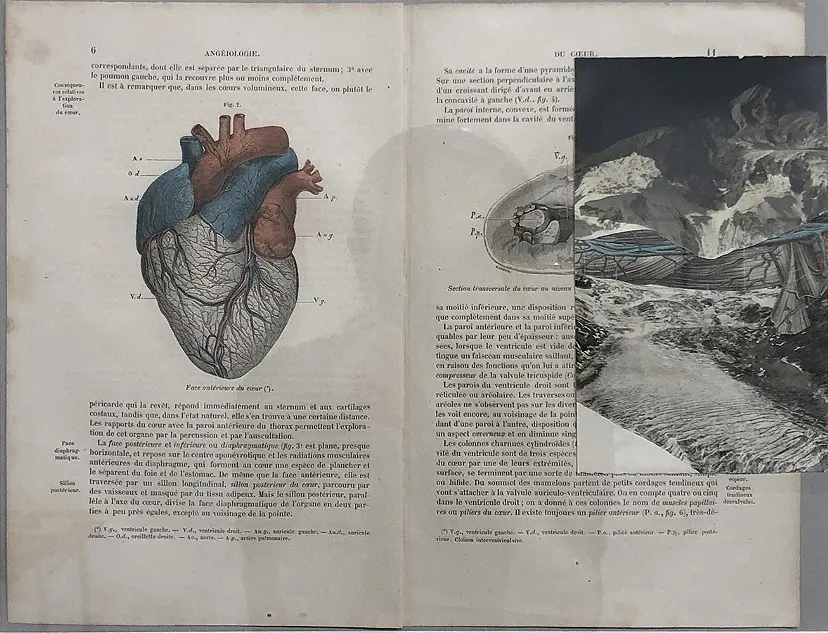 translations #coeur6-11 by 片岡純也＋岩竹理恵