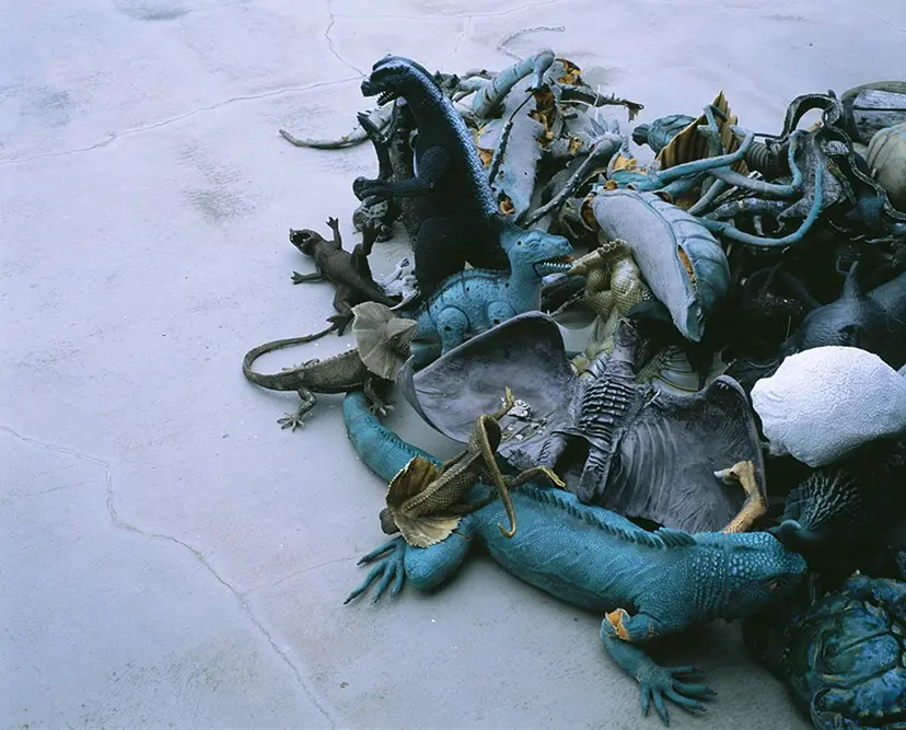 梅ヶ丘墓情 #04 by Nobuyoshi Araki