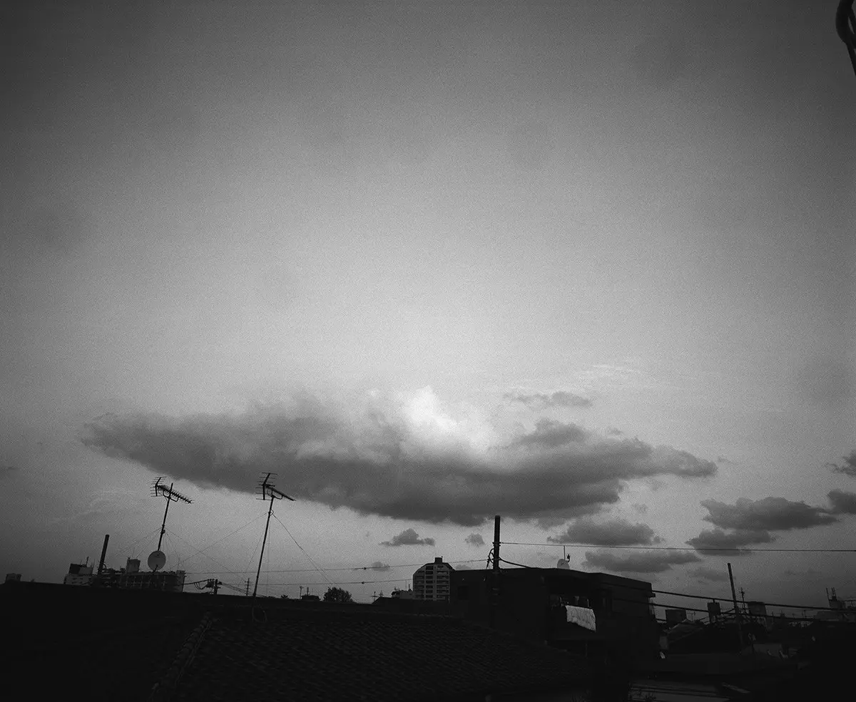 梅ヶ丘墓情 #08