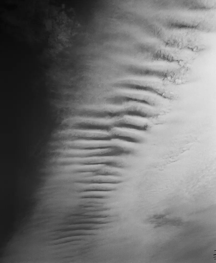 梅ヶ丘墓情 #11 by Nobuyoshi Araki