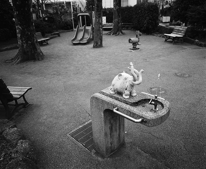梅ヶ丘墓情 #12 by Nobuyoshi Araki