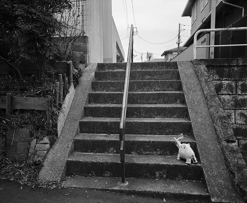 梅ヶ丘墓情 #13 by Nobuyoshi Araki