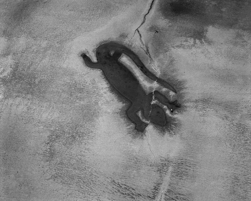 梅ヶ丘墓情 #20 by Nobuyoshi Araki