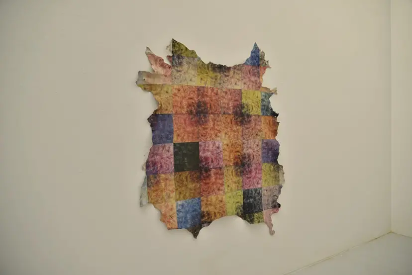 Trace Element (pig) by 植田 爽介 / Sosuke Ueta