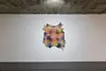 Trace Element (pig)