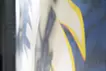 bite