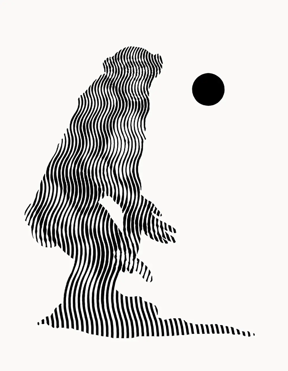 Bonobo