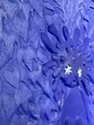 花の瞳