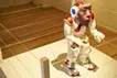 デジタルシャーマン・プロジェクト