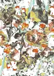 Plum Blossoms(2024)