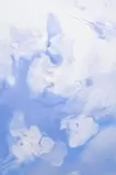 融 - 遥かな空へと #01