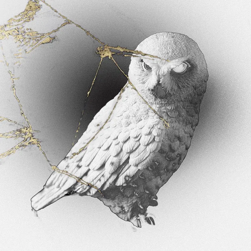 Crushed/still life_owl by Kurimune Misato