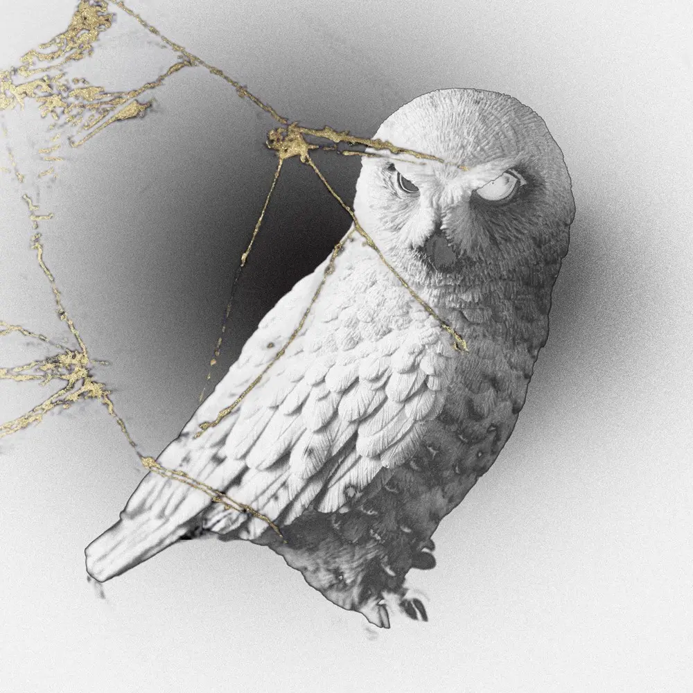 Crushed/still life_owl