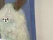 今のところ大丈夫